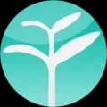 YoyoChinese logo which is a tree growing on a turquoise background.